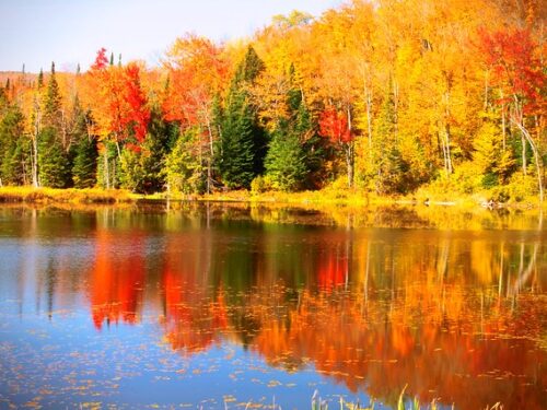 Fall Paddle Pic